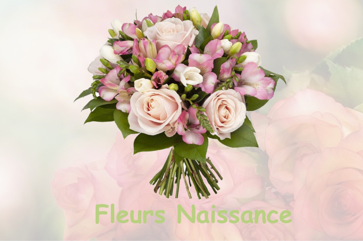 fleurs naissance POISEUL-LA-GRANGE